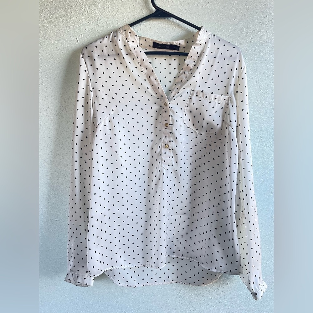 The Limited Blouse
